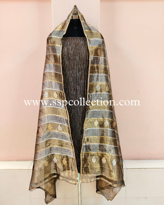 Black Pure Tissue Silk Banarasi Suit