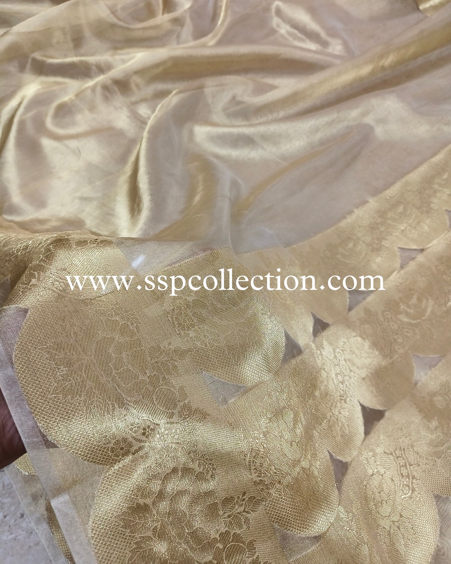 Gold Scallop Border Pure Tissue Silk Banarasi Saree